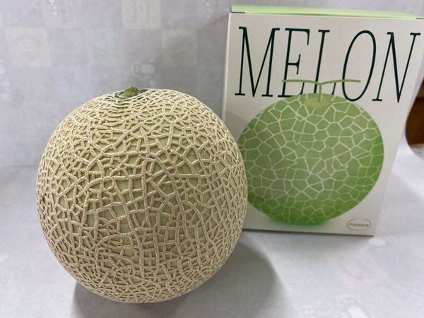 【和歌山県内発】 母の日ミステリー 日帰り1